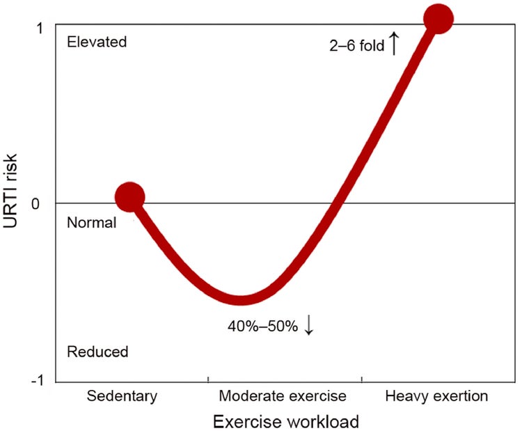 A line graph illustrating the relationship between exercise workload and the risk of Upper Respiratory Tract Infection (URTI).