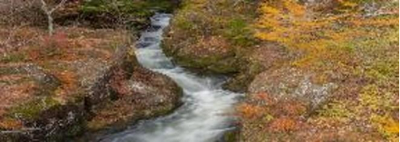 C:\Users\91936\AppData\Local\Microsoft\Windows\INetCache\Content.MSO\B30D8E9.tmp