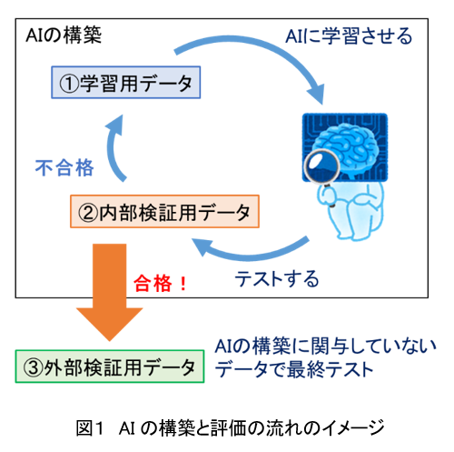 サンスター、化学物質の皮膚感作性を定量的に予測するAIを独自に開発