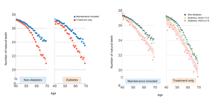 Charts showing the association of age with number of natural teeth, with curves representing model predictions (95% confidence intervals)