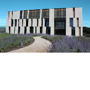 Sunstar corporate office building.